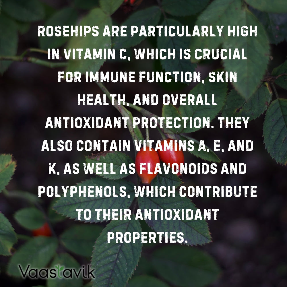 Rosehip Capsules Extract Dietary Supplements 500mg