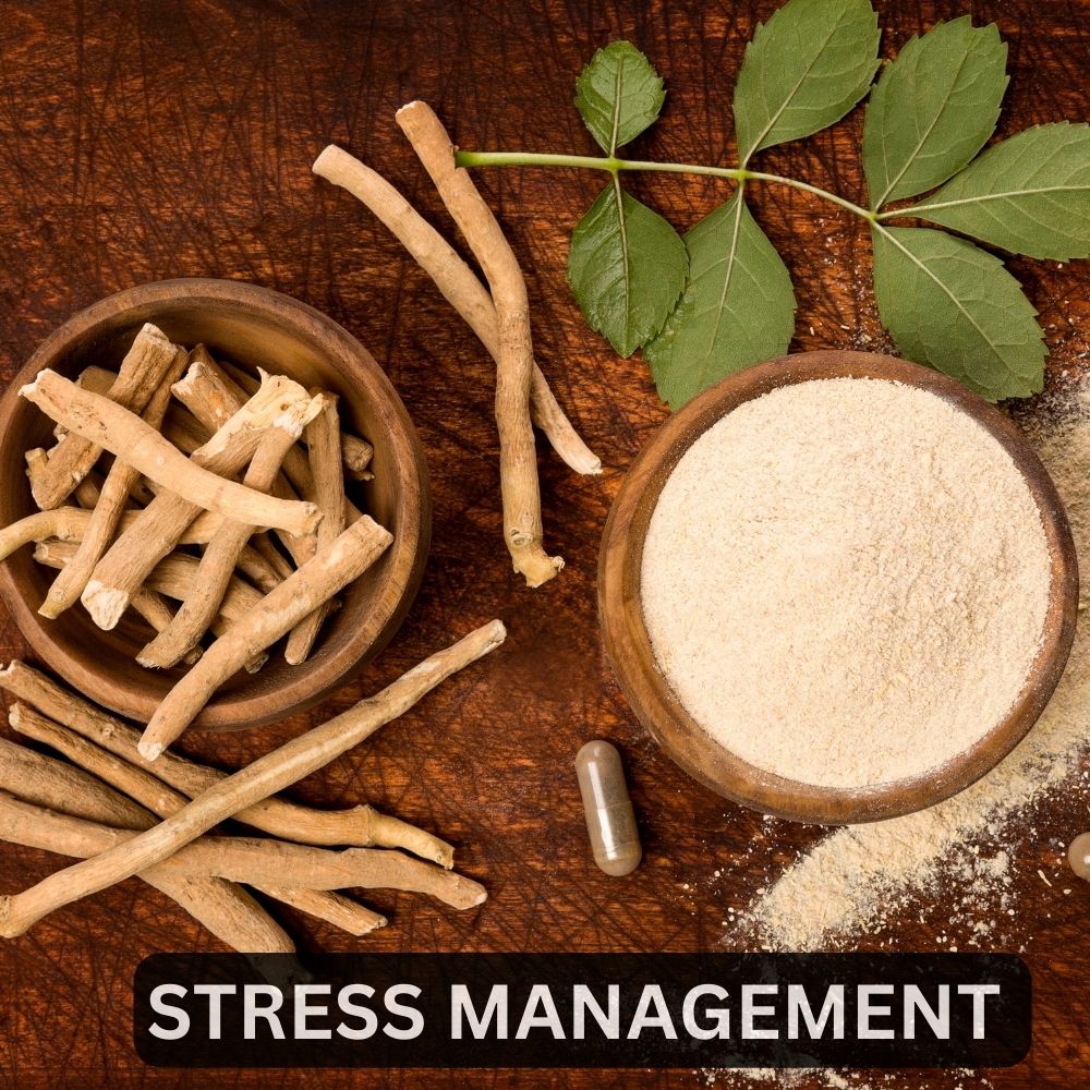 Ashwagandha Capsules 500mg (5% Withanolides)