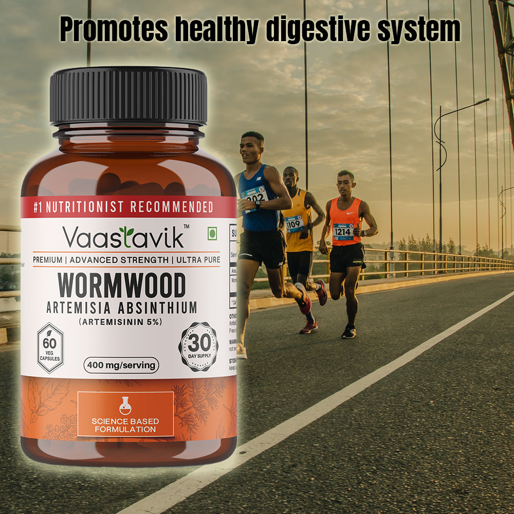 Wormwood Artemisia Absinthium 400 MG Vegetarian Capsule Extract Afsanteen(Artemisinin 5%) Supplement