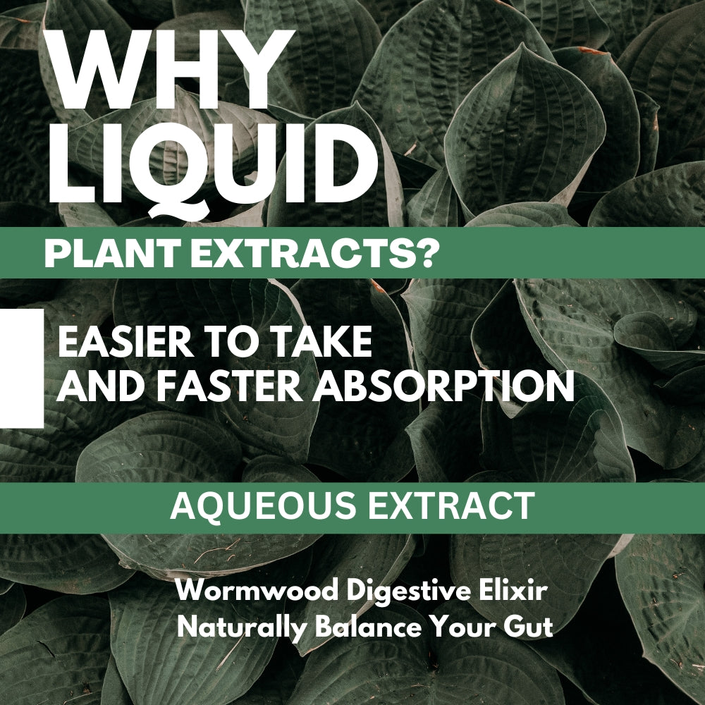 80% Wormwood plus Black Walnut Hull Extract Tincture Liquid Supplement 100 ml