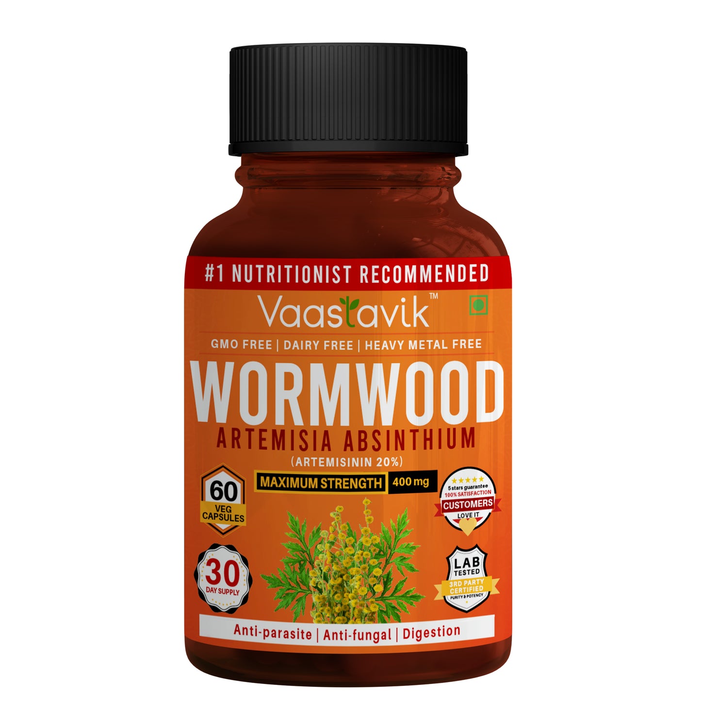 Vaastavik Wormwood Capsules Supplement
