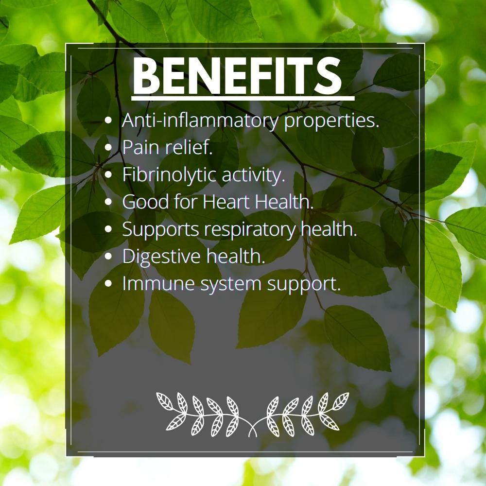 Serratiopeptidase 120,000 SPU Vegetarian 60 Serrapeptase Supplement