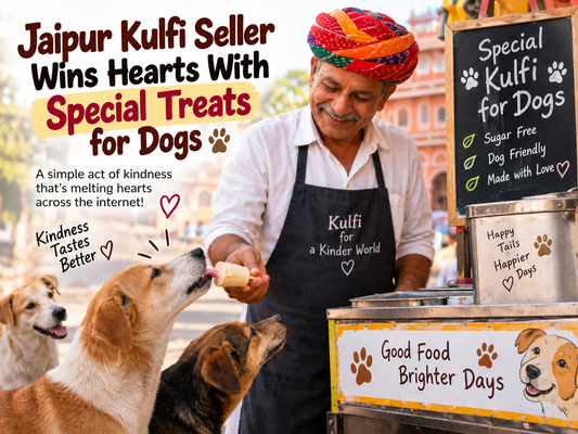Jaipur Kulfi Seller Wins Hearts With Special Treats for Dogs