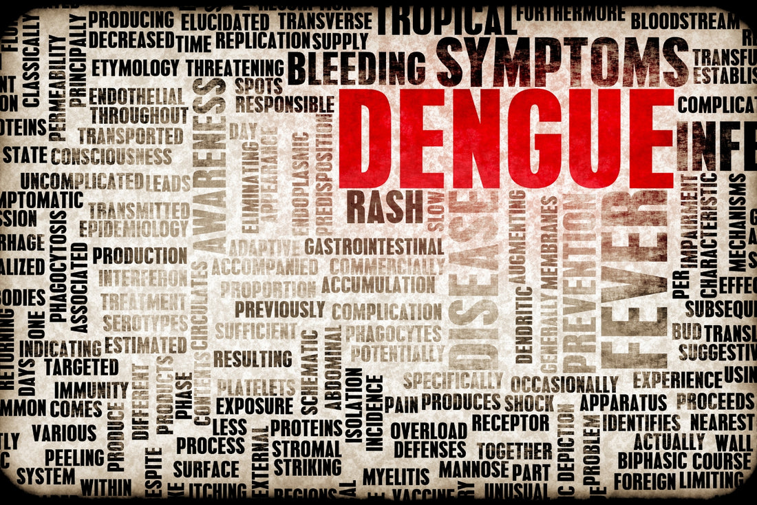 Dengue: Symptoms, Treatment, and Control Strategies