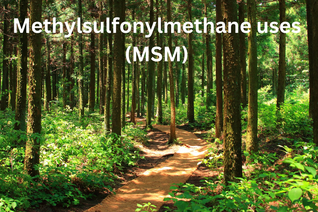 Methylsulfonylmethane uses (MSM)