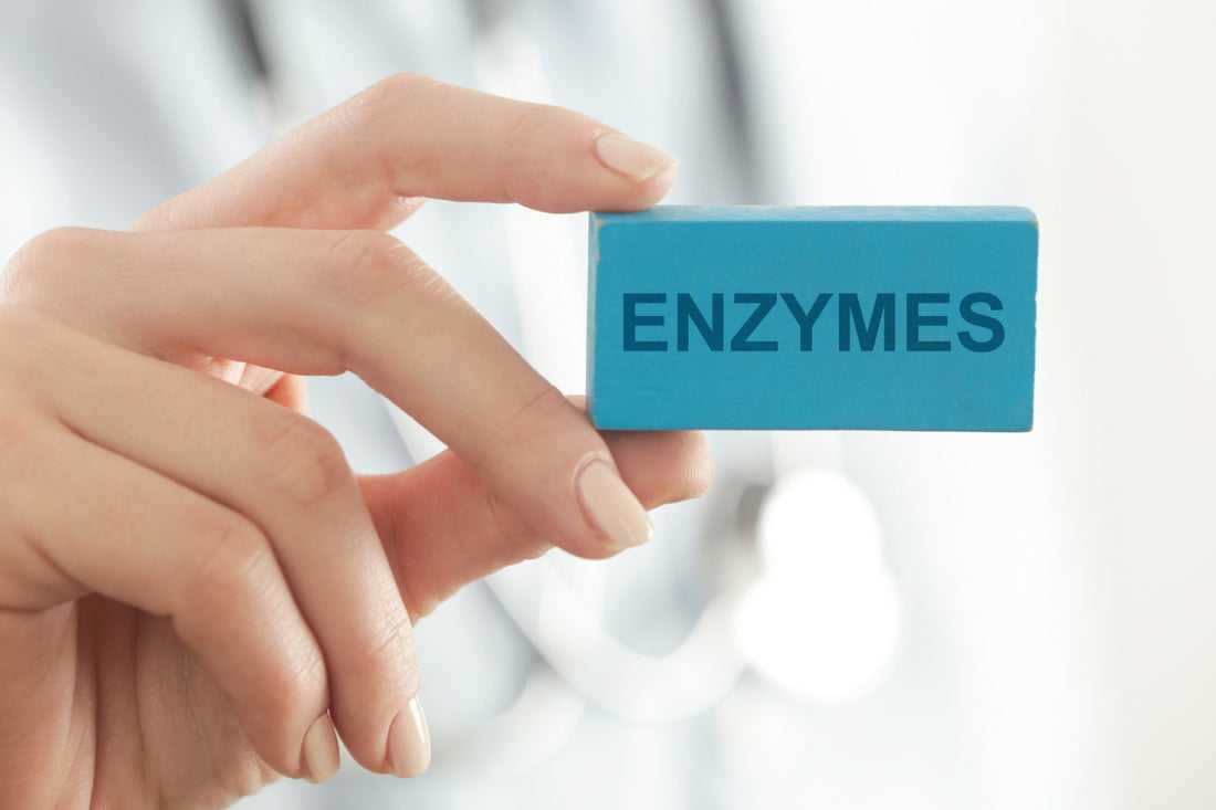Serratiopeptidase The Miracle Anti-Inflammatory Pill
