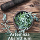 80% Wormwood Supplement Glycerin Tincture Artemisia Absinthium 50ml
