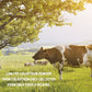 Bovine Colostrum Powder 43% IgG 200 gm