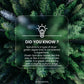Pure Spirulina Powder 100g – Nutrient-Rich Superfood
