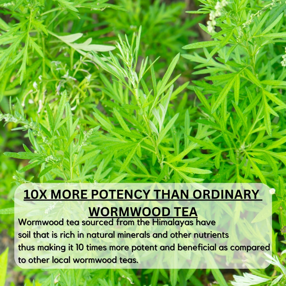 Wormwood Tea Dried Cut Herb Artemisia Absinthium Afsanteen 100gm