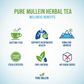Benefits Infographic - Mullein Tea