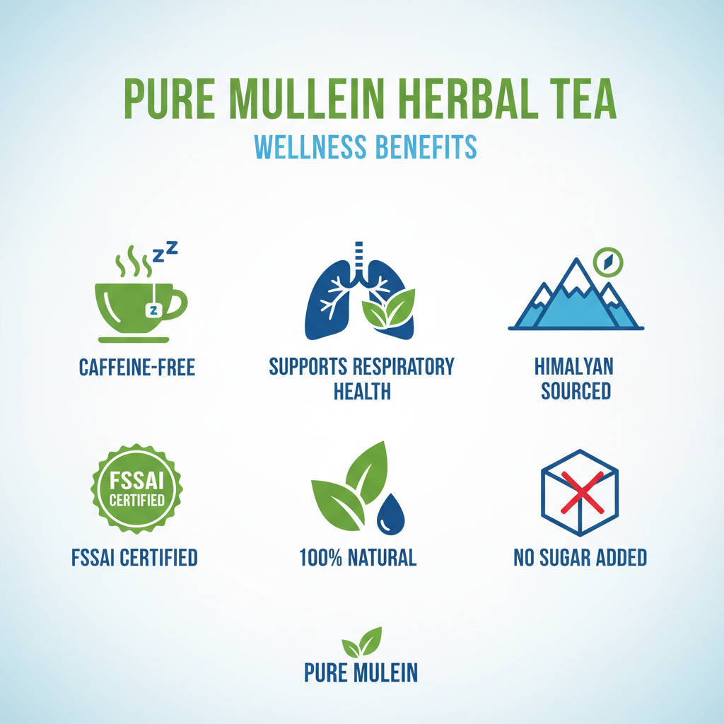 Benefits Infographic - Mullein Tea
