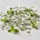 Chickweed Ingredients Close-Up