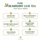 Pure Bearberry Leaf Tea benefits - caffeine free, antioxidants, kidney health, Himalayan sourced