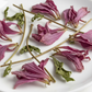 Ingredients Close-up