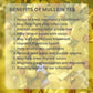 Pure Mullein Tea 100gms