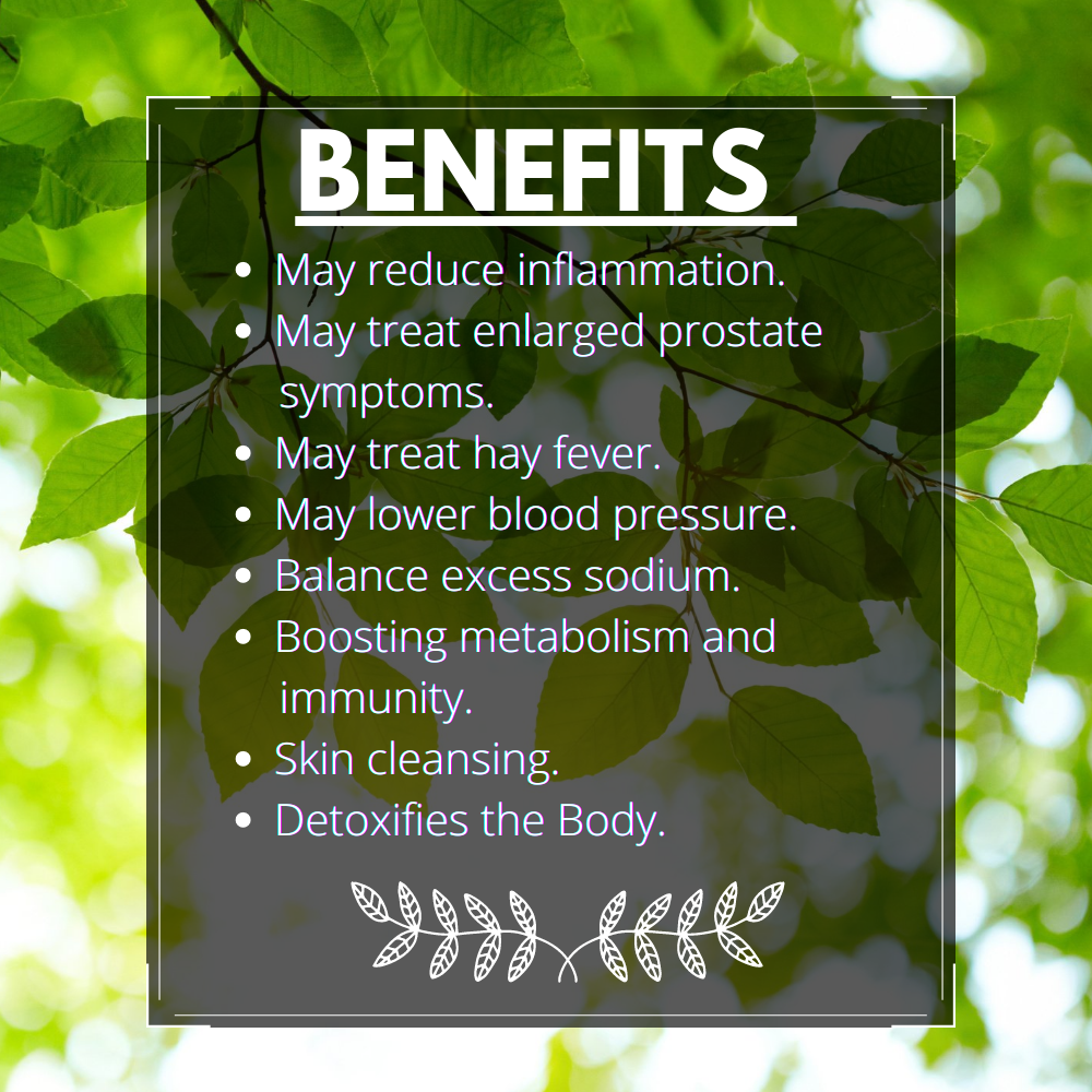 Nettle Leaf Tea Stinging Organic Dried Cut Herb Urtica Dioica 100gm
