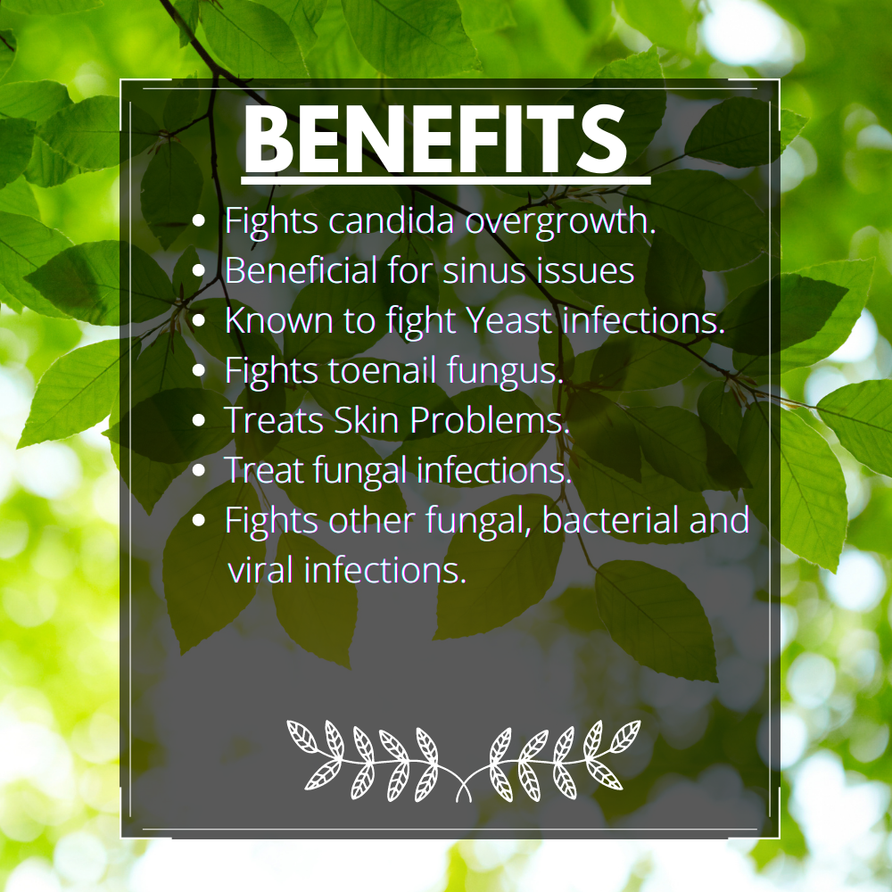 Oregano Essential Oil 30ml Pure Grade