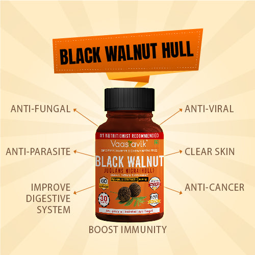 Black Walnut Hull Juglans Nigra 500 MG Vegetarian 60 Extract Capsule Supplement